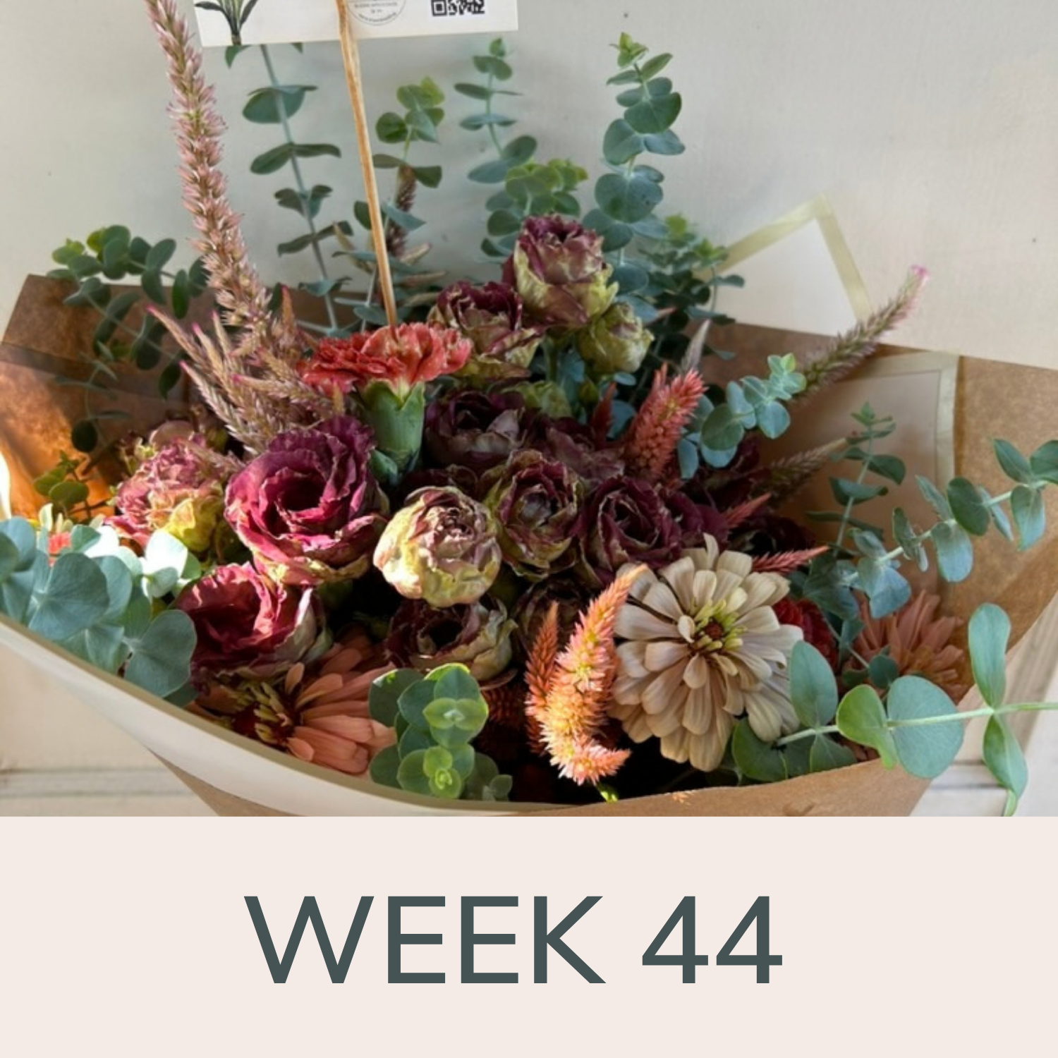 Week 44