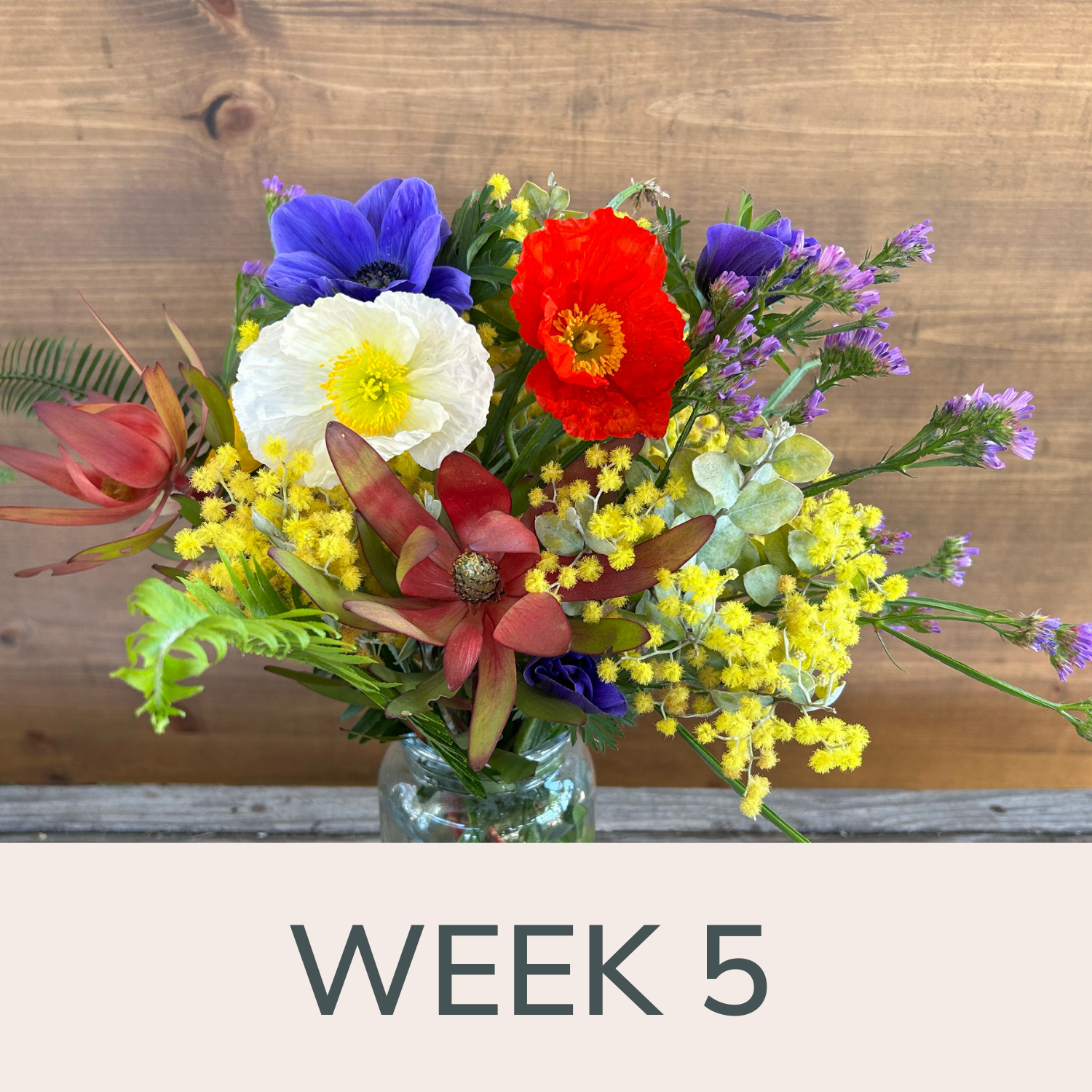 Week 5