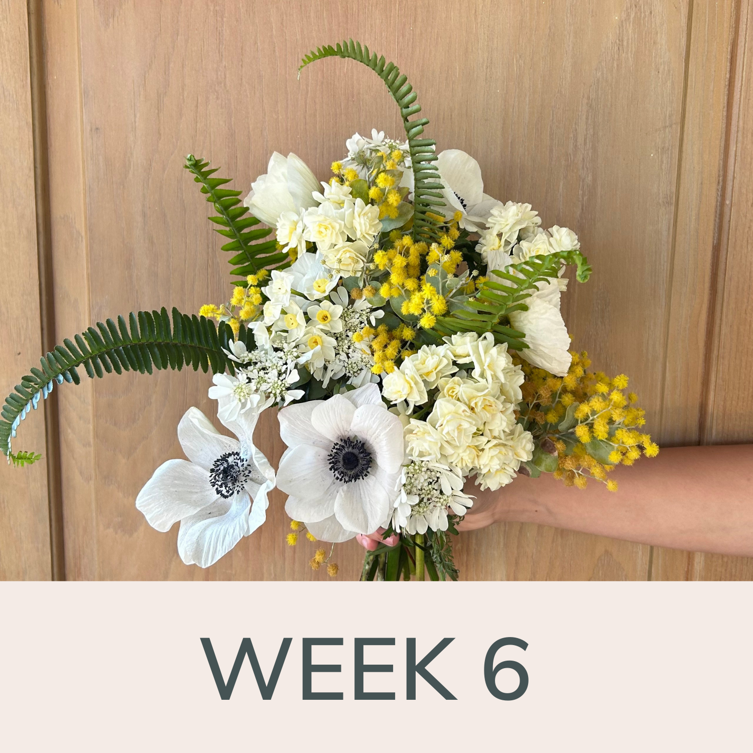 Week 6