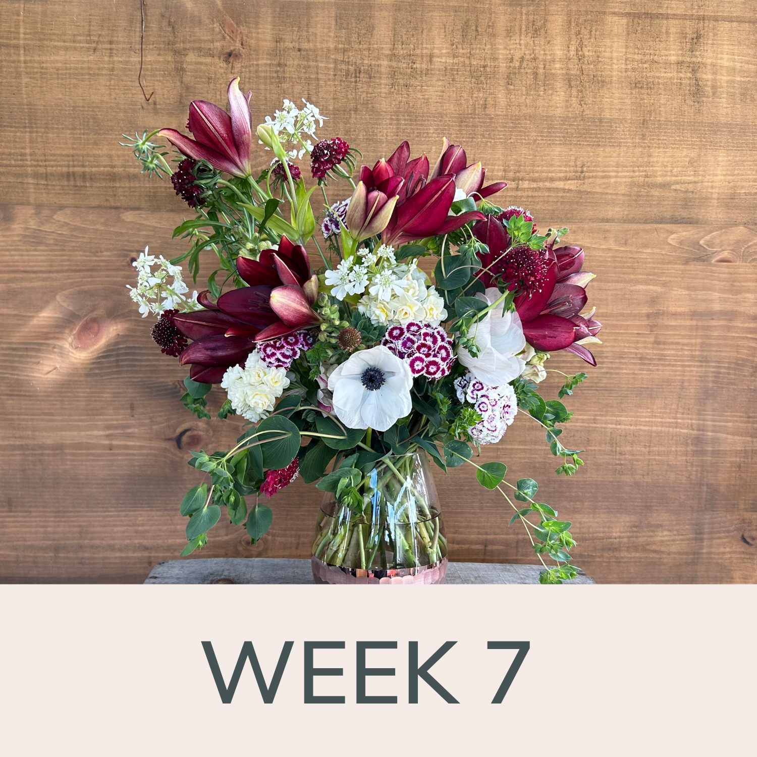 Week 7