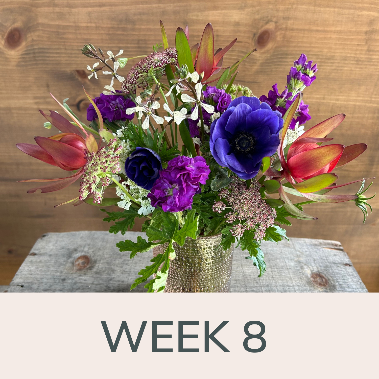 Week 8