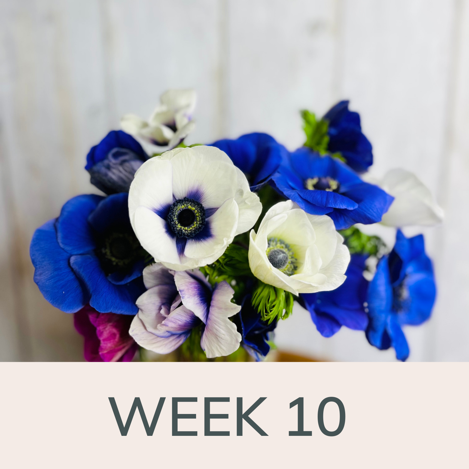 Week 10