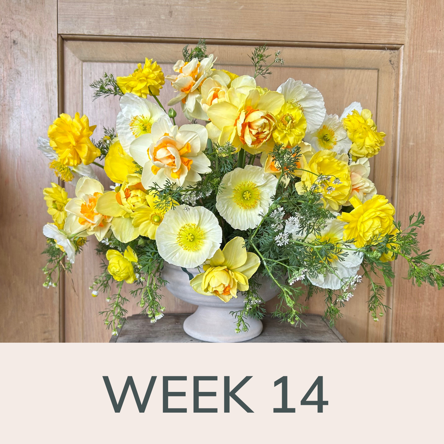 Week 14
