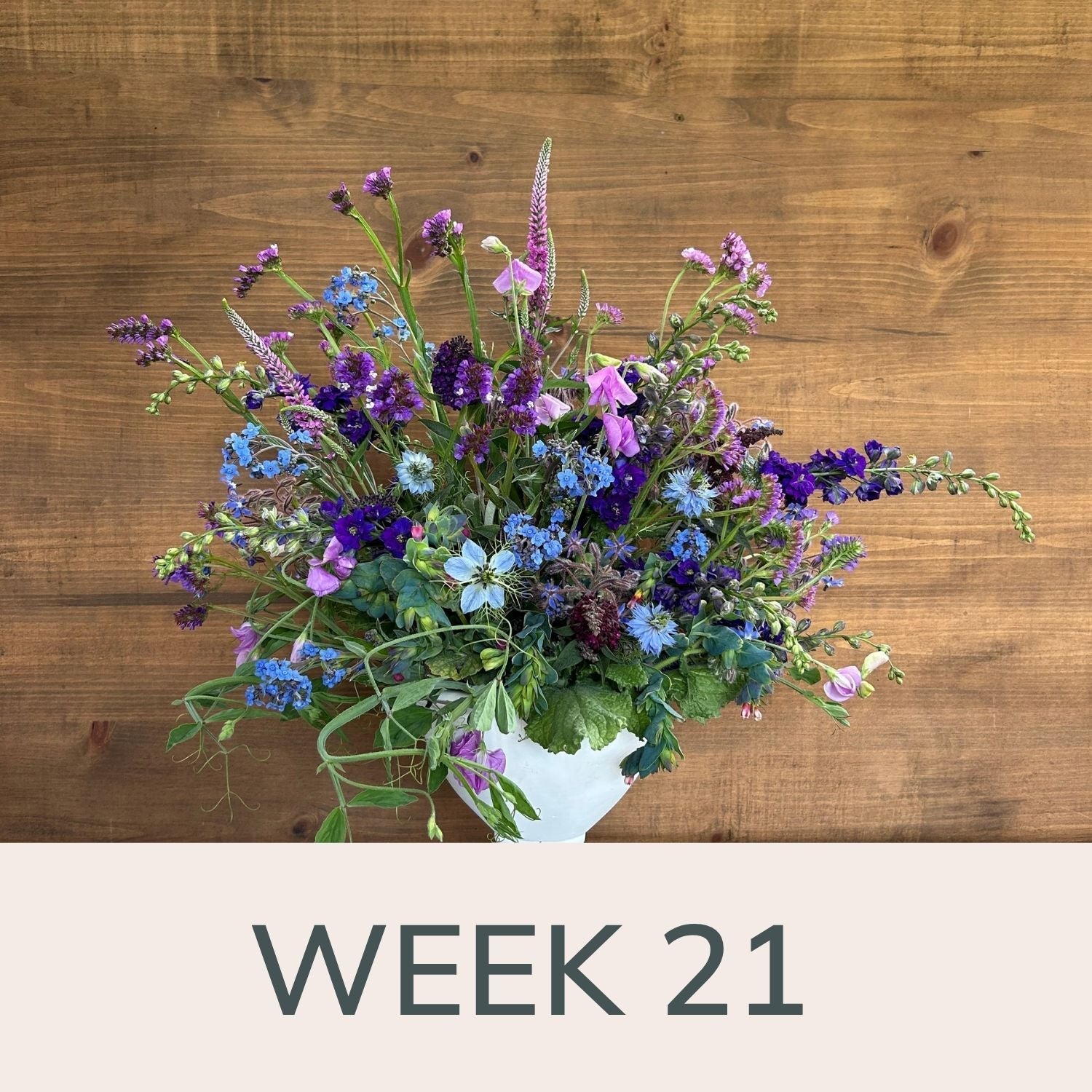 Week 21