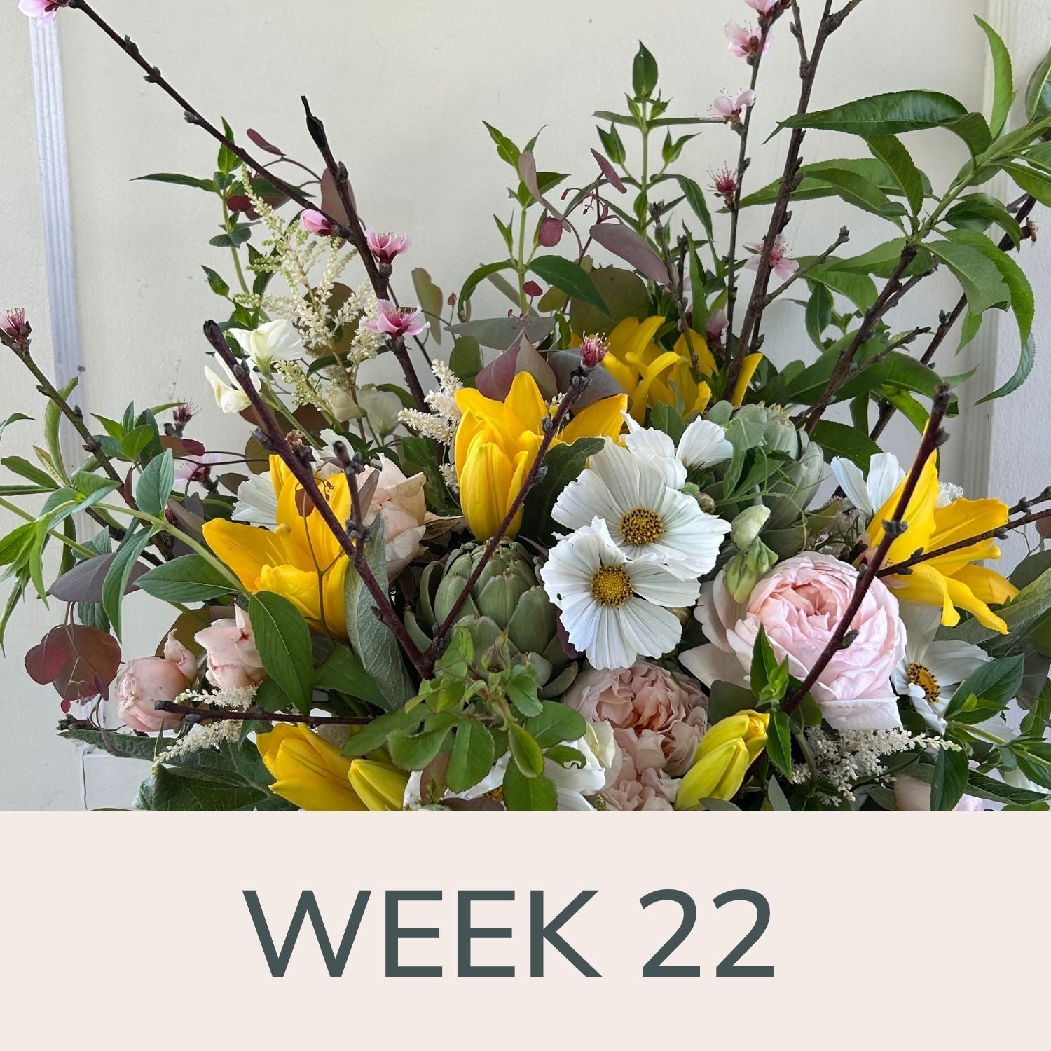 Week 22