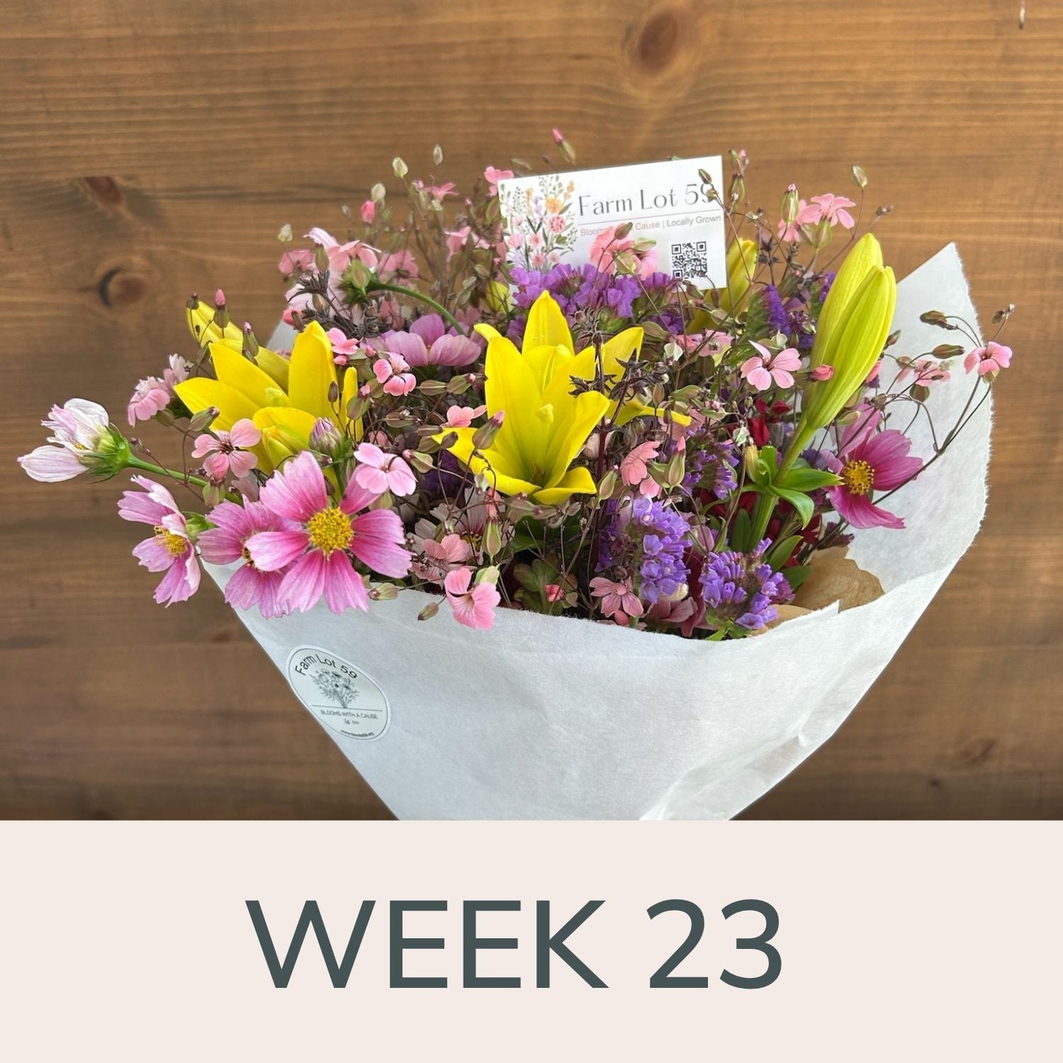 Week 23