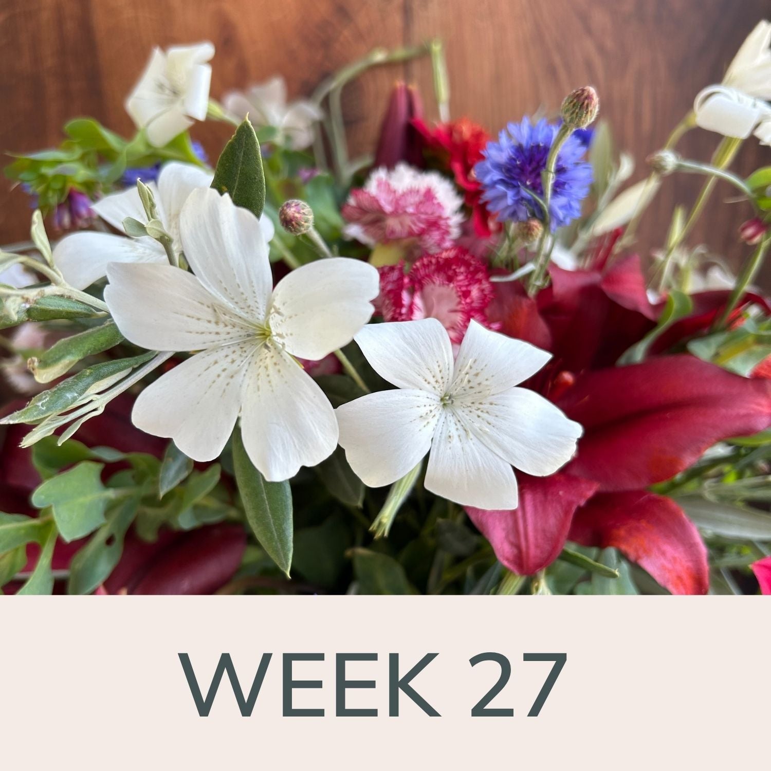 Week 27