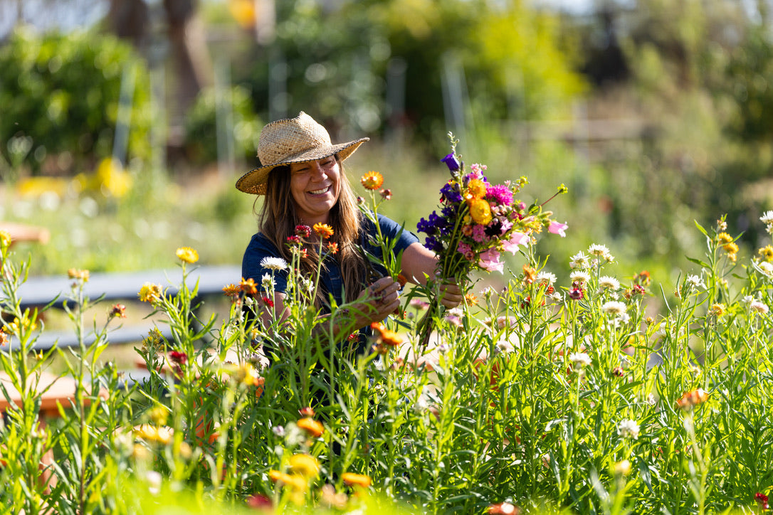 Harvesting flowers