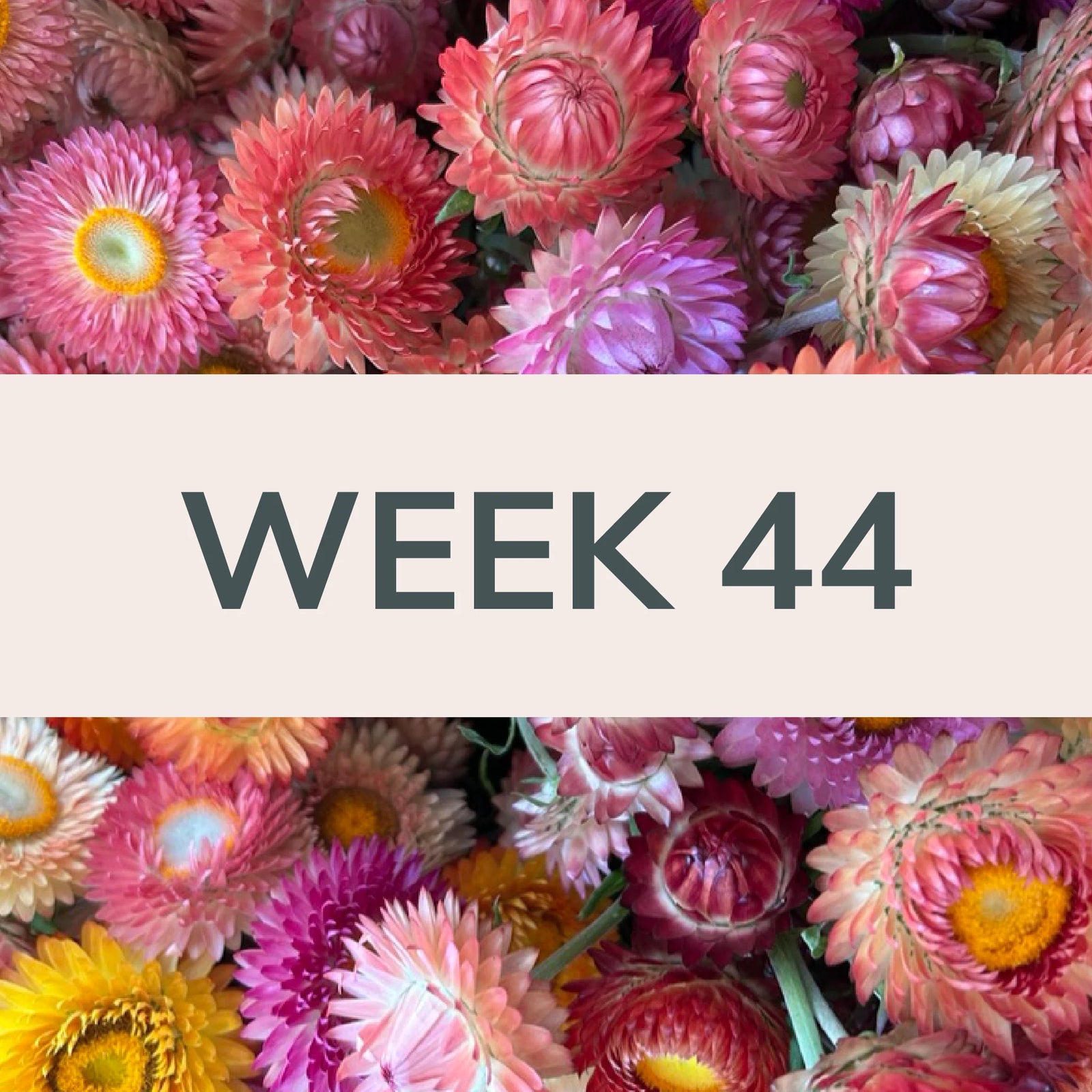 Week 44