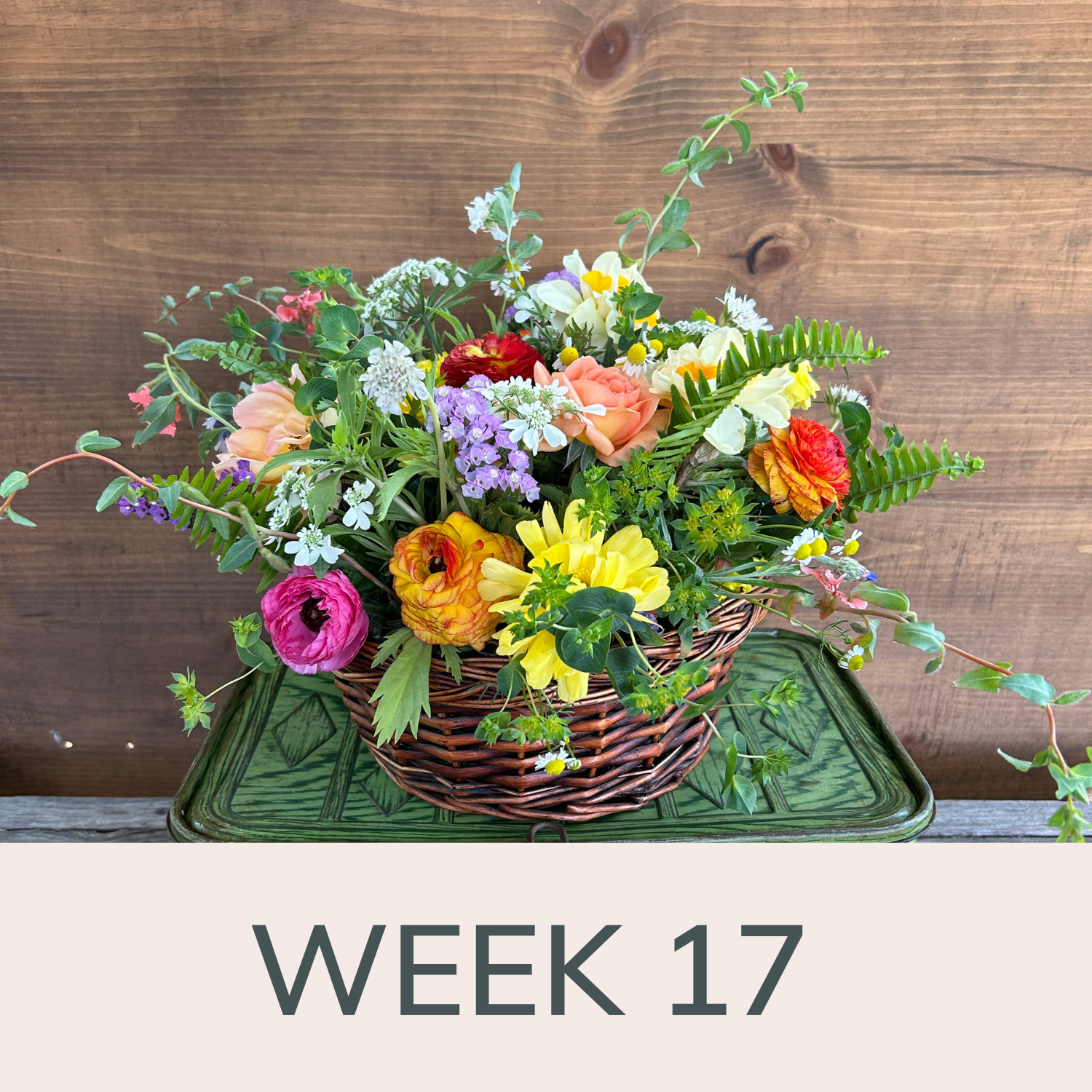 Week 17