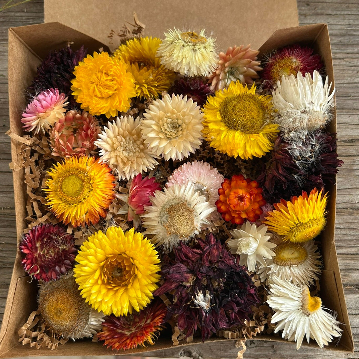 Dried Flower Heads