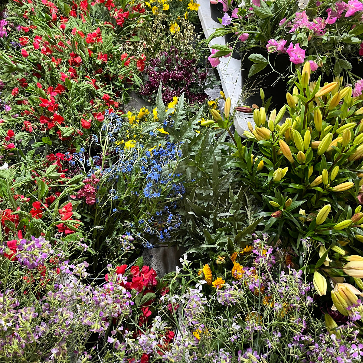 Mixed Bucket - Mixed Colors