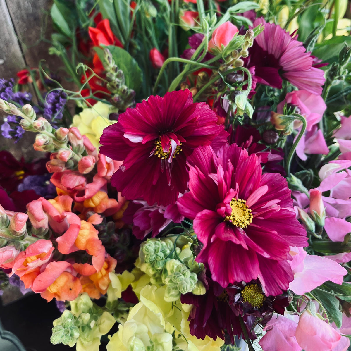 Bouquet of colorful flowers including pink, red, and purple varieties.