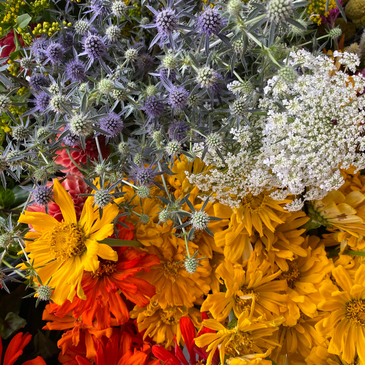 DIY Bucket of Blooms