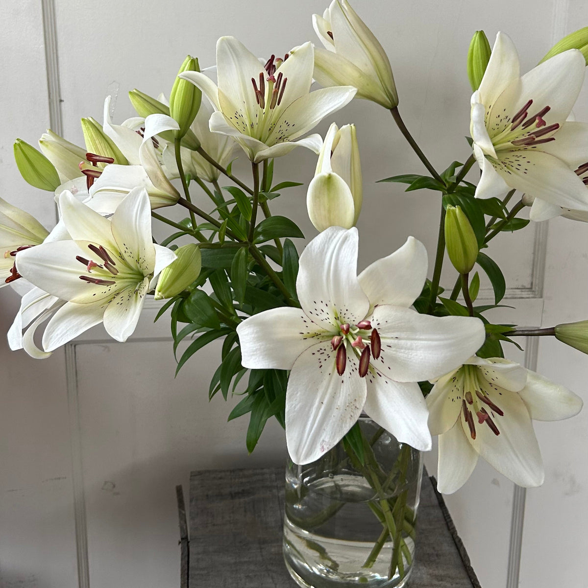 LA Hybrid Lilly - Eyeliner
