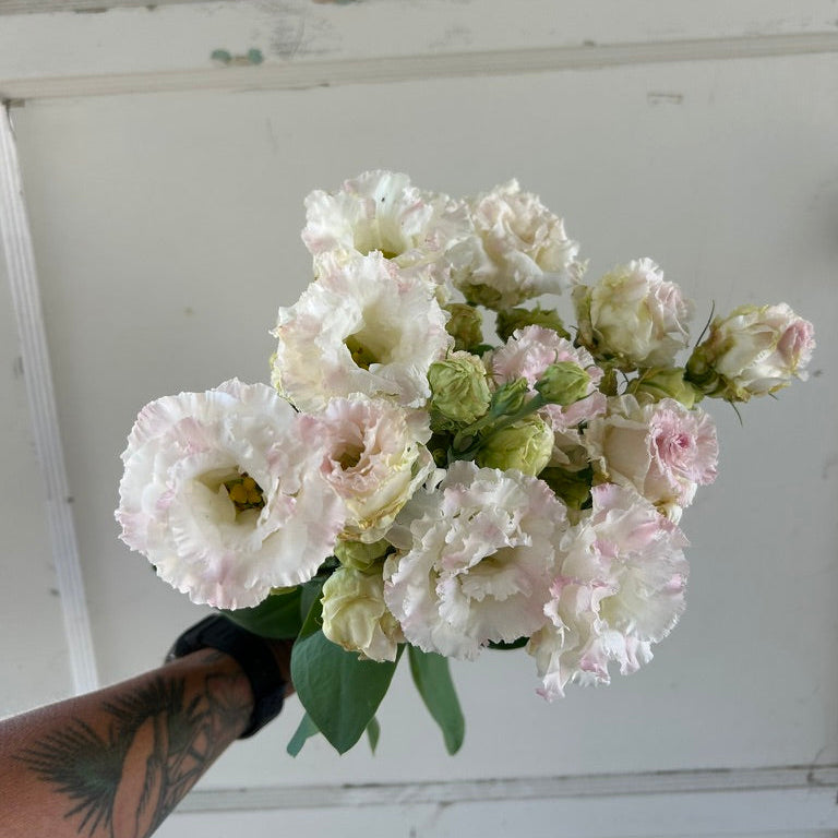 Lisianthus Voyage - First Love