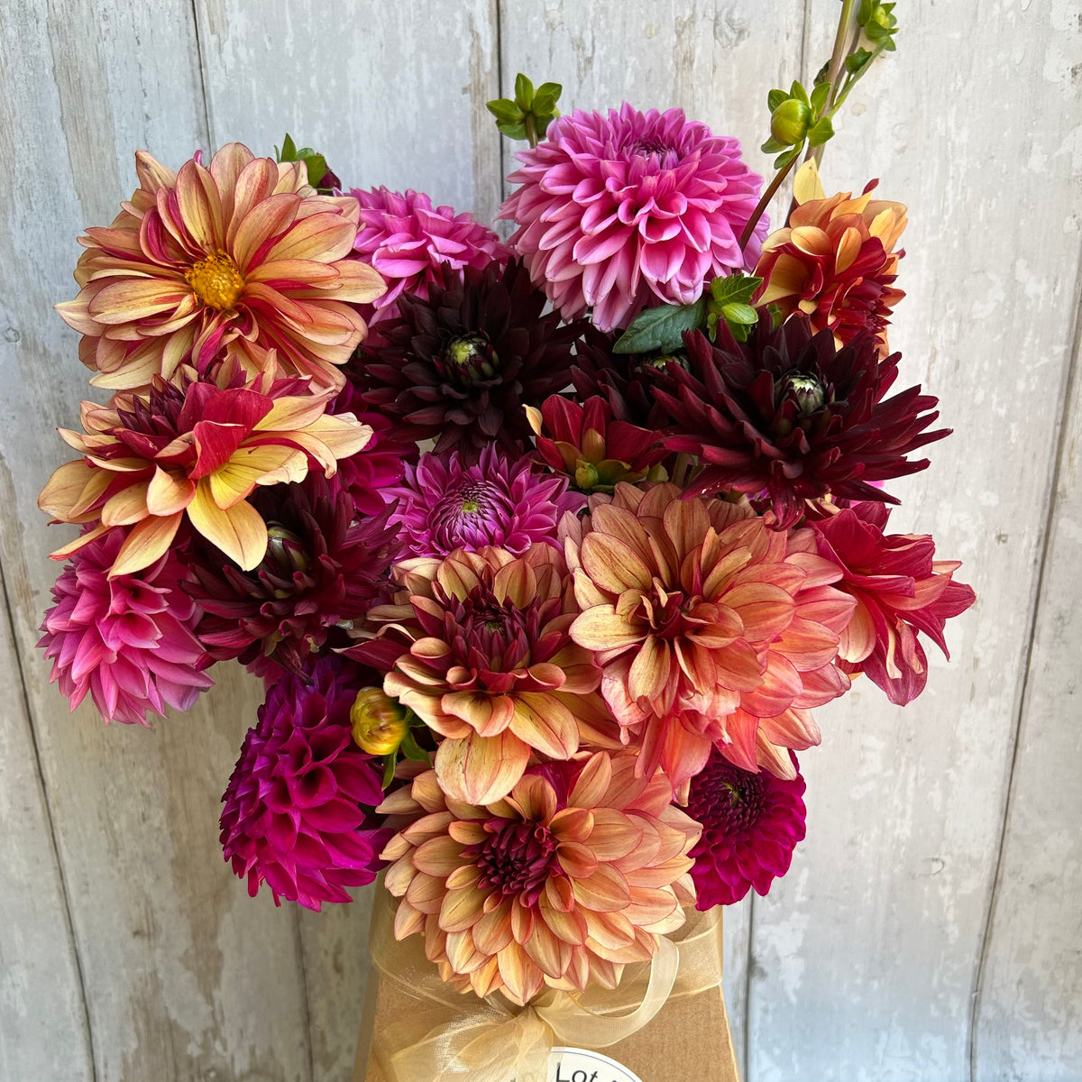 Dahlias - 20 Stems