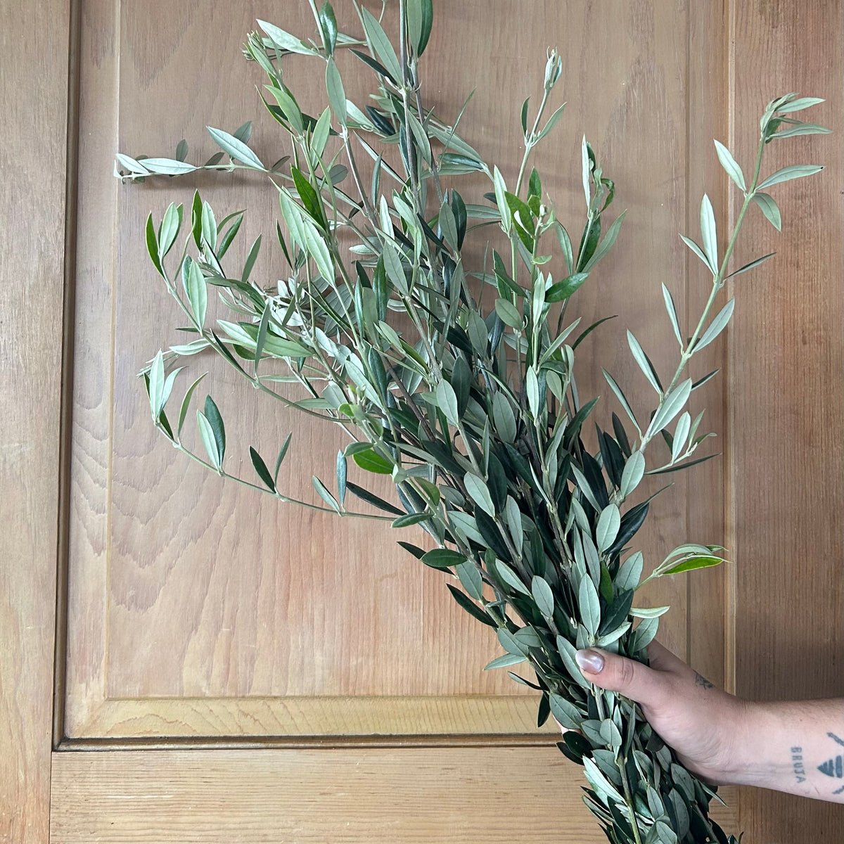 Olive