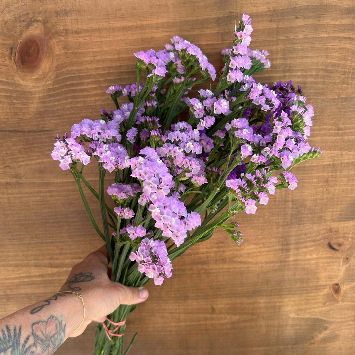 Statice - Purple