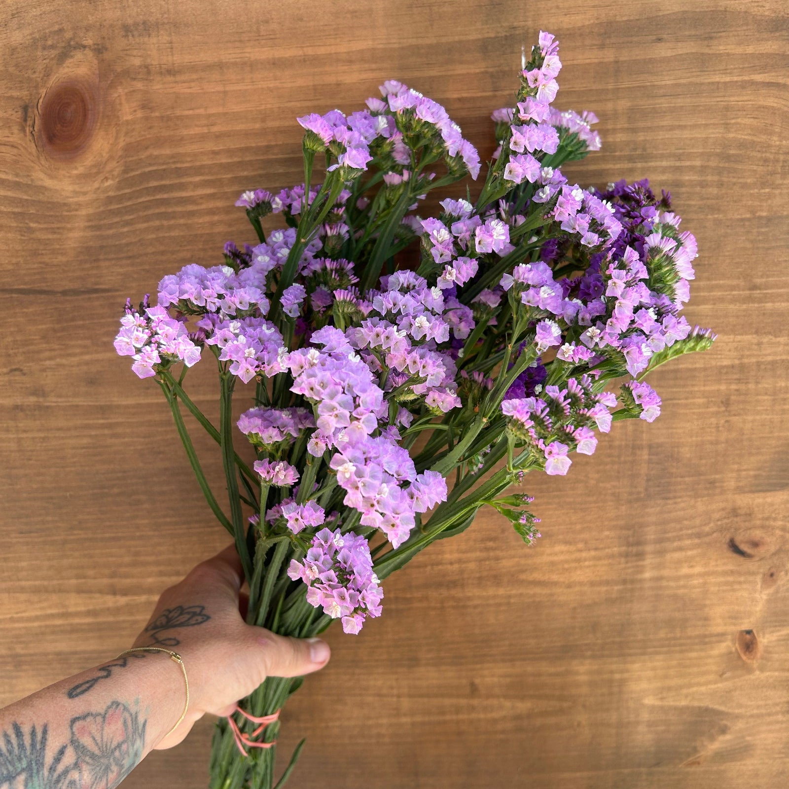 Statice - Purple