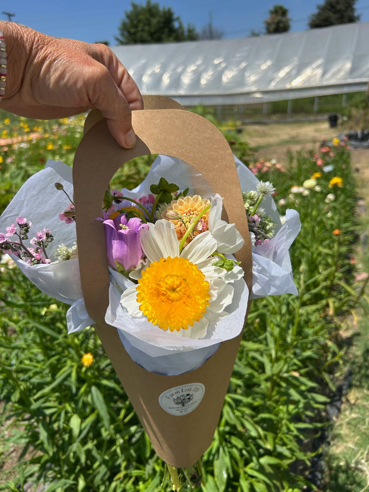 2026 Summer U-Pick Experience (SINGLE DAY TICKET)