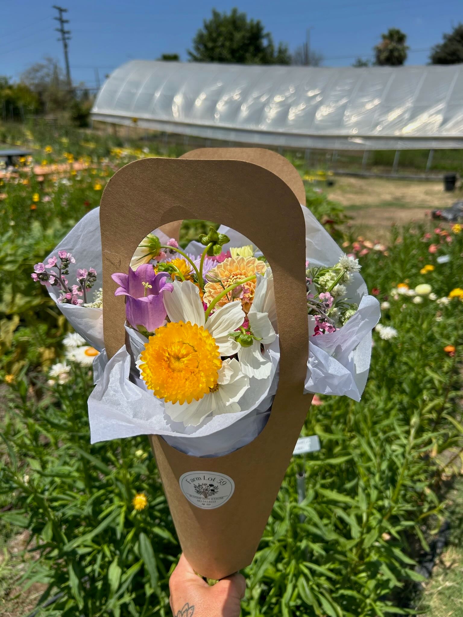Bouquet of flowers in a cardboard holder with a greenhouse in the background